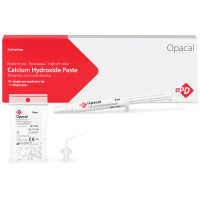 Pâte à l'hydroxyde de calcium "Cavity Liner"