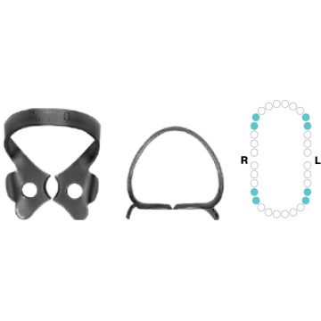 Crampon à digue