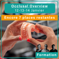 Occlusal Overview : Intégrer l'occlusion dans son quotidien
