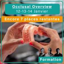 Occlusal Overview - 12/13/14 janvier 2026