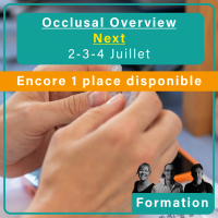 Occlusal Overview - Niveau 2