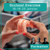 Occlusal Overview - 18-19-20 janvier 2027
