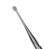 Curette alvéolaire Molt 4 manche 502