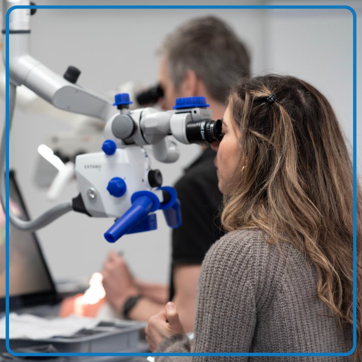 Participant en travaux pratiques sous microscope opératoire, formation LUNEA Groupe